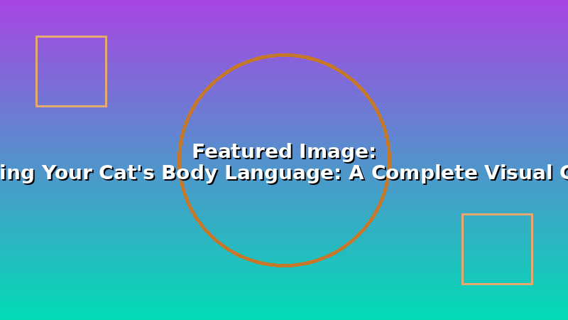 Reading Your Cat's Body Language: A Complete Visual Guide