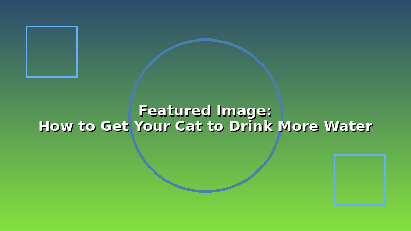 How to Get Your Cat to Drink More Water