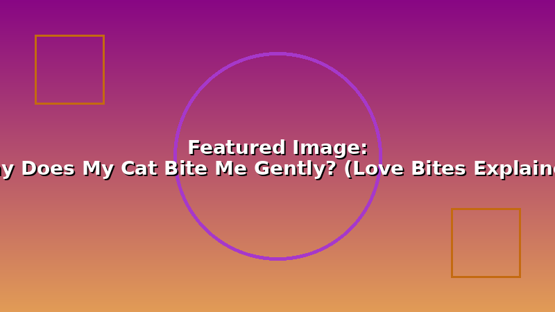 Why Does My Cat Bite Me Gently? (Love Bites Explained)