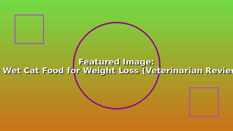 Best Wet Cat Food for Weight Loss (Veterinarian Reviewed)