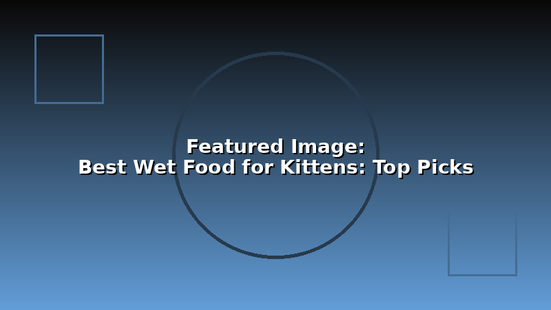 Best Wet Food for Kittens: Top Picks